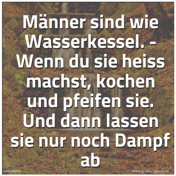 Quadratisches Spruchbild: Männer sind wie Wasserkessel. - Wenn du sie heiß machst, kochen und pfeifen sie. Und dann …