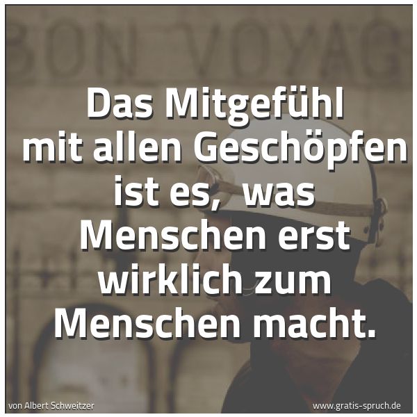 Quadratisches Spruchbild: Das Mitgefühl mit allen Geschöpfen ist es,  was Menschen erst wirklich zum Menschen macht.