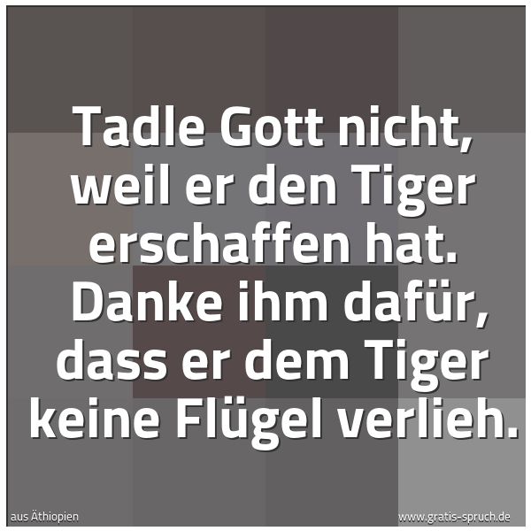 Quadratisches Spruchbild: Tadle Gott nicht, weil er den Tiger erschaffen hat. Danke ihm dafür, dass er dem Tiger ke …