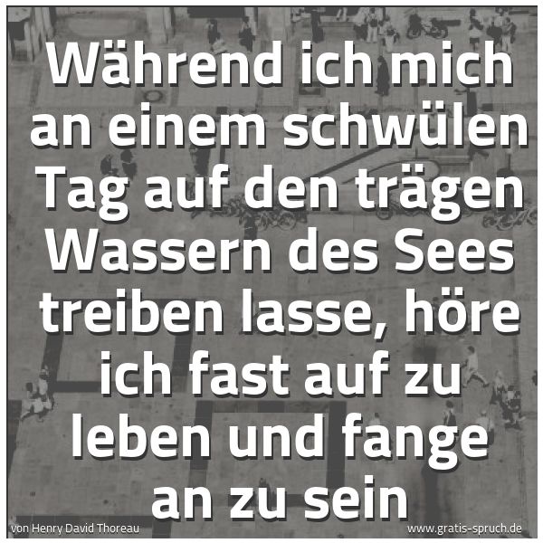 Quadratisches Spruchbild: Während ich mich an einem schwülen Tag auf den trägen Wassern des Sees treiben lasse, höre …