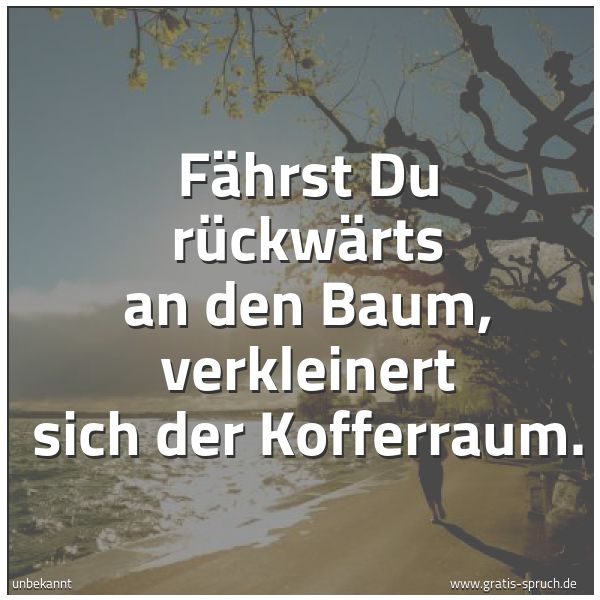 Quadratisches Spruchbild: Fährst Du rückwärts an den Baum, verkleinert sich der Kofferraum.