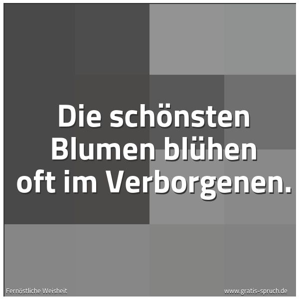Quadratisches Spruchbild: Die schönsten Blumen blühen oft im Verborgenen.
