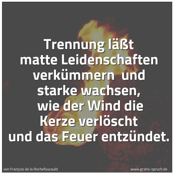 Quadratisches Spruchbild: Trennung läßt matte Leidenschaften verkümmern und starke wachsen, wie der Wind die Kerze …