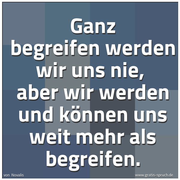 Quadratisches Spruchbild: Ganz begreifen werden wir uns nie, aber wir werden und können uns weit mehr als begreifen …