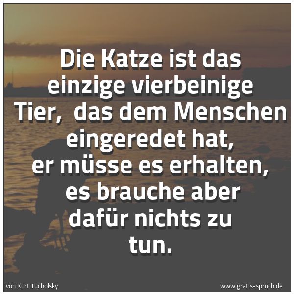 Quadratisches Spruchbild: Die Katze ist das einzige vierbeinige Tier,  das dem Menschen eingeredet hat, er müsse es  …