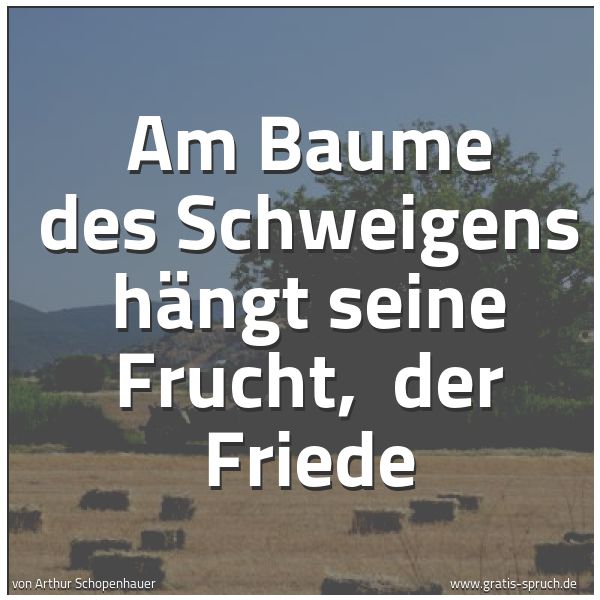 Quadratisches Spruchbild: Am Baume des Schweigens hängt seine Frucht, der Friede