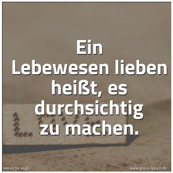 Quadratisches Spruchbild: Ein Lebewesen lieben heißt, es durchsichtig zu machen.