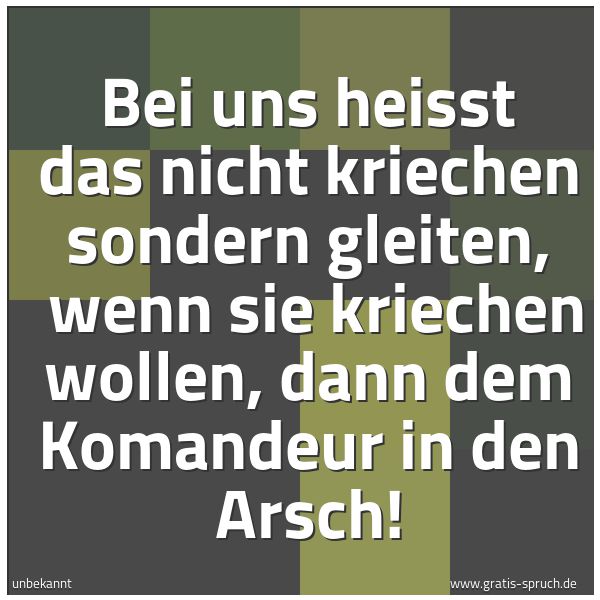 Quadratisches Spruchbild: Bei uns heisst das nicht kriechen sondern gleiten,  wenn sie kriechen wollen, dann dem Kom …
