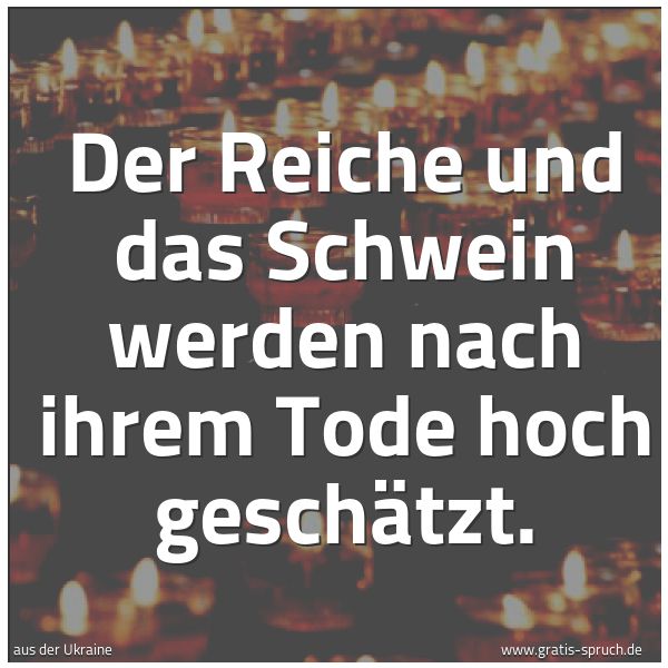 Quadratisches Spruchbild: Der Reiche und das Schwein werden nach ihrem Tode hoch geschätzt.