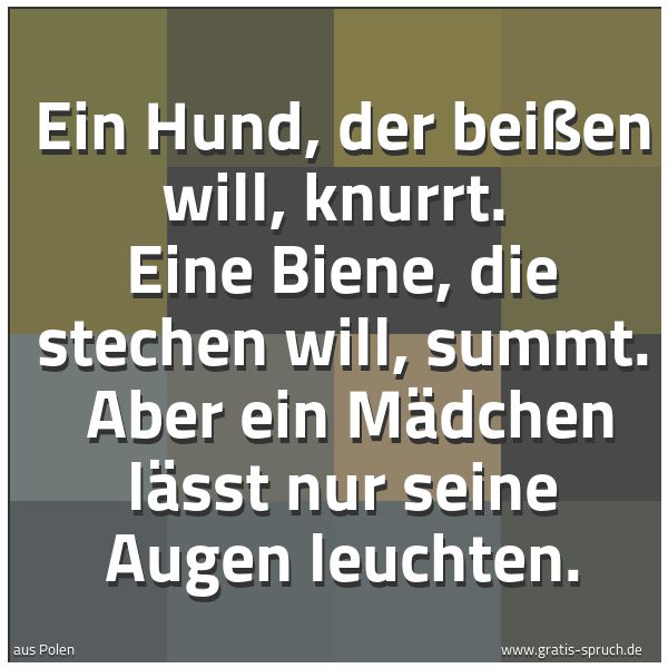 Quadratisches Spruchbild: Ein Hund, der beißen will, knurrt. Eine Biene, die stechen will, summt. Aber ein Mädchen …