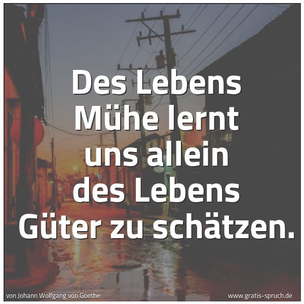 Quadratisches Spruchbild: Des Lebens Mühe lernt uns allein des Lebens Güter zu schätzen.