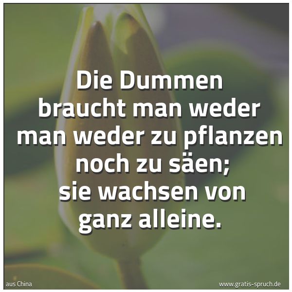 Quadratisches Spruchbild: Die Dummen braucht man weder man weder zu pflanzen noch zu säen; sie wachsen von ganz al …