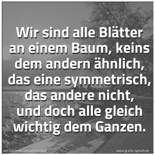 Quadratisches Spruchbild: Wir sind alle Blätter an einem Baum, keins dem andern ähnlich, das eine symmetrisch, das a …
