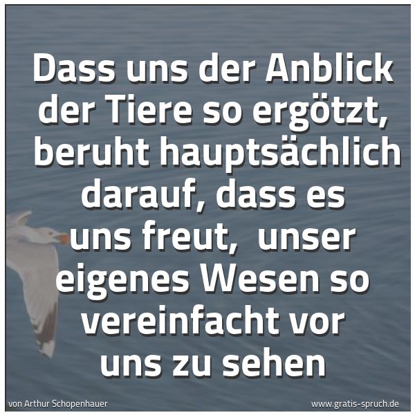 Quadratisches Spruchbild: Dass uns der Anblick der Tiere so ergötzt, beruht hauptsächlich darauf, dass es uns freut …