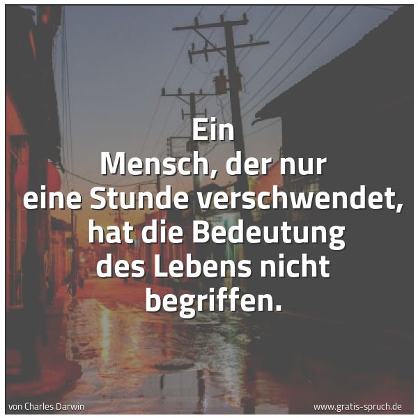Quadratisches Spruchbild: Ein Mensch, der nur eine Stunde verschwendet,  hat die Bedeutung des Lebens nicht begriffe …