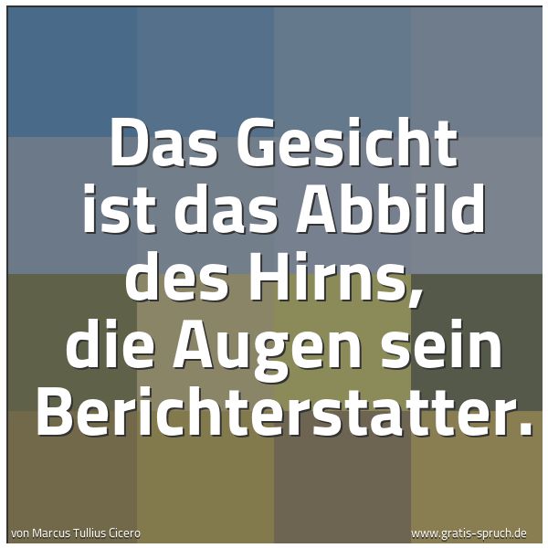 Quadratisches Spruchbild: Das Gesicht ist das Abbild des Hirns, die Augen sein Berichterstatter.