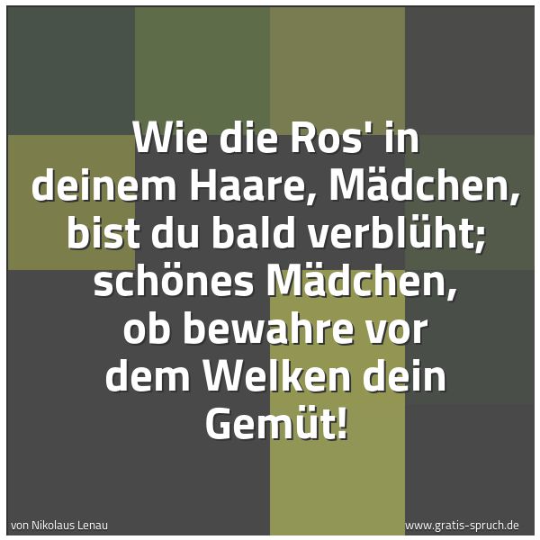Quadratisches Spruchbild: Wie die Ros' in deinem Haare, Mädchen, bist du bald verblüht; schönes Mädchen, ob bewahre  …