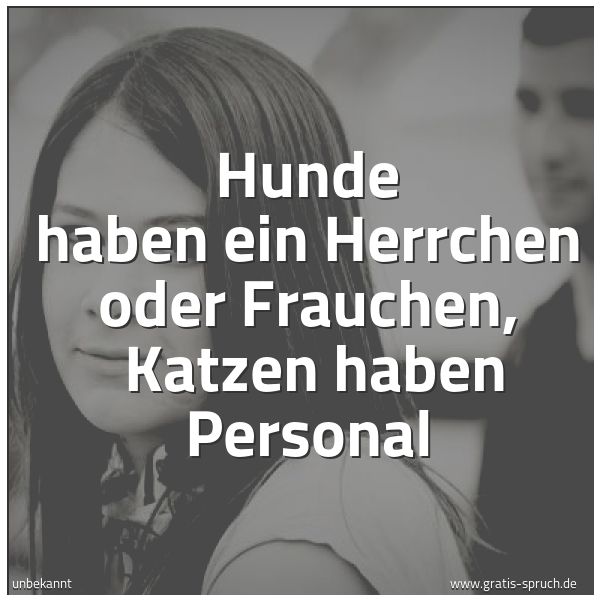 Quadratisches Spruchbild: Hunde haben ein Herrchen oder Frauchen,  Katzen haben Personal