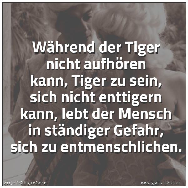 Quadratisches Spruchbild: Während der Tiger nicht aufhören kann, Tiger zu sein, sich nicht enttigern kann, lebt der …