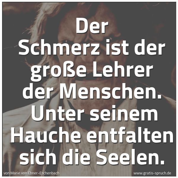 Quadratisches Spruchbild: Der Schmerz ist der große Lehrer der Menschen. Unter seinem Hauche entfalten sich die See …