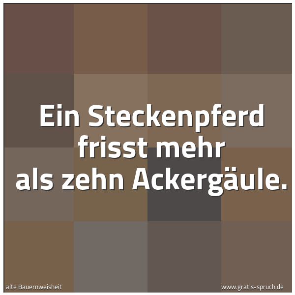 Quadratisches Spruchbild: Ein Steckenpferd frisst mehr als zehn Ackergäule.