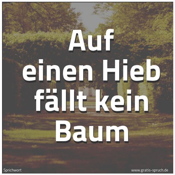 Quadratisches Spruchbild: Auf einen Hieb fällt kein Baum