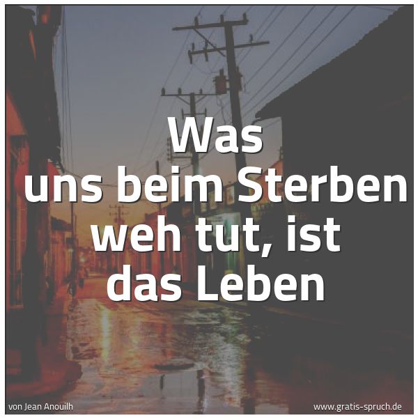 Quadratisches Spruchbild: Was uns beim Sterben weh tut, ist das Leben