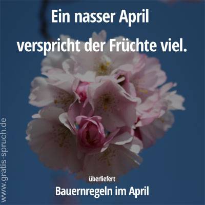 Ein nasser April verspricht der Früchte viel.