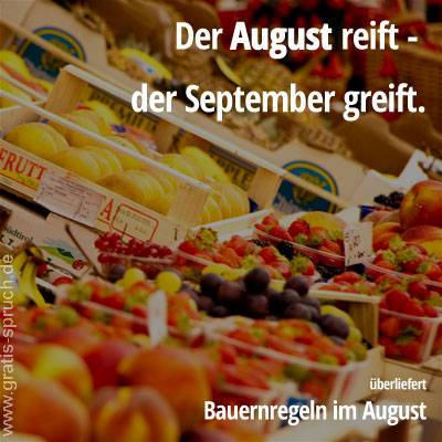 Der August reift - der September greift.