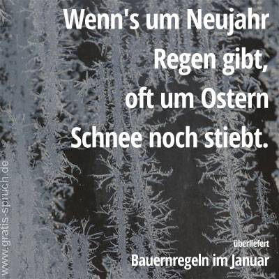 Wenn's um Neujahr Regen gibt, oft um Ostern Schnee noch stiebt.