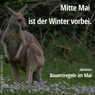 Mitte Mai ist der Winter vorbei.