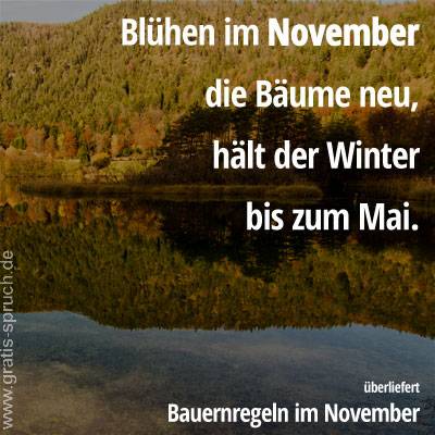 Blühen im November die Bäume neu, hält der Winter bis zum Mai.