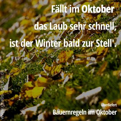 Fällt im Oktober das Laub sehr schnell, ist der Winter bald zur Stell'.