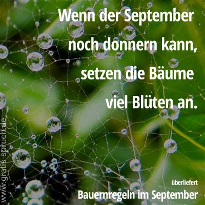 Wenn der September noch donnern kann, setzen die Bäume viel Blüten an.