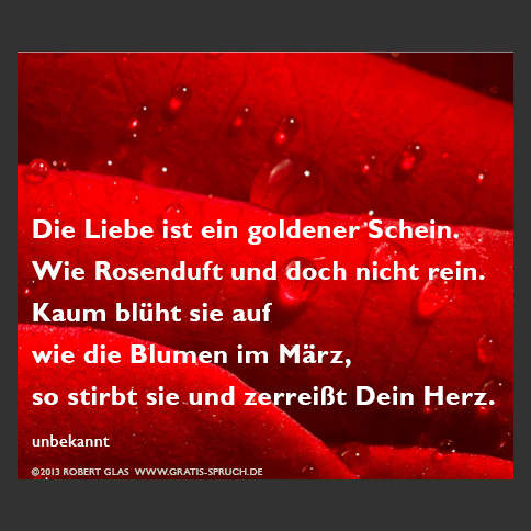 Bilder Sprüche zum Valentinstag: Die Liebe ist ein goldener Schein. Wie Rosenduft und doch nicht rein. Kaum blüht sie auf wie die Blumen im März, so stirbt sie und zerreißt Dein Herz.